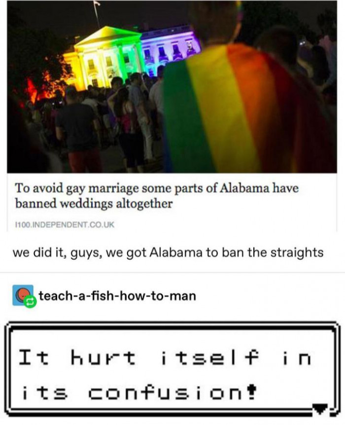 20. This is beyond stupid. Is there anyone from Alabama who can confirm this stupidity?