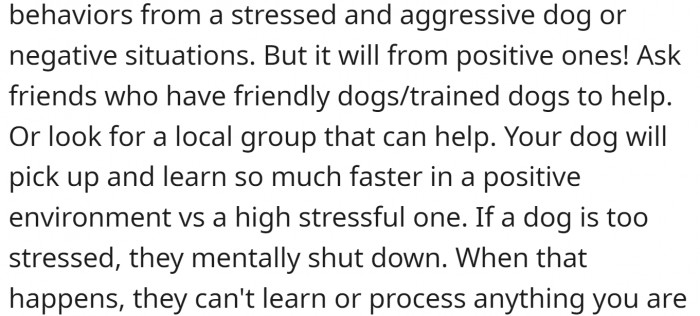 OP should ask friends who have friendly or trained dogs to help.