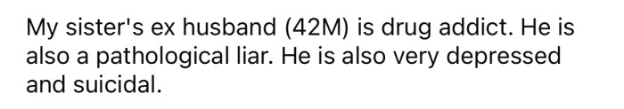 The OP explained that his sister's ex-husband is a drug addict, a pathological liar, and has a history of severe depression.