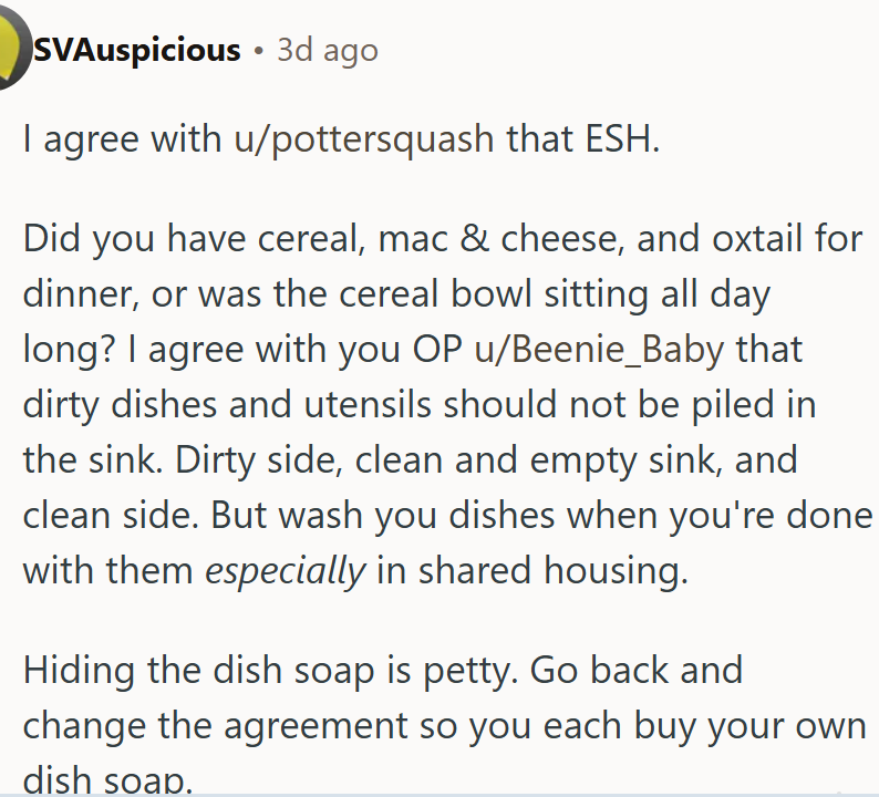 Hiding the dish soap is petty.