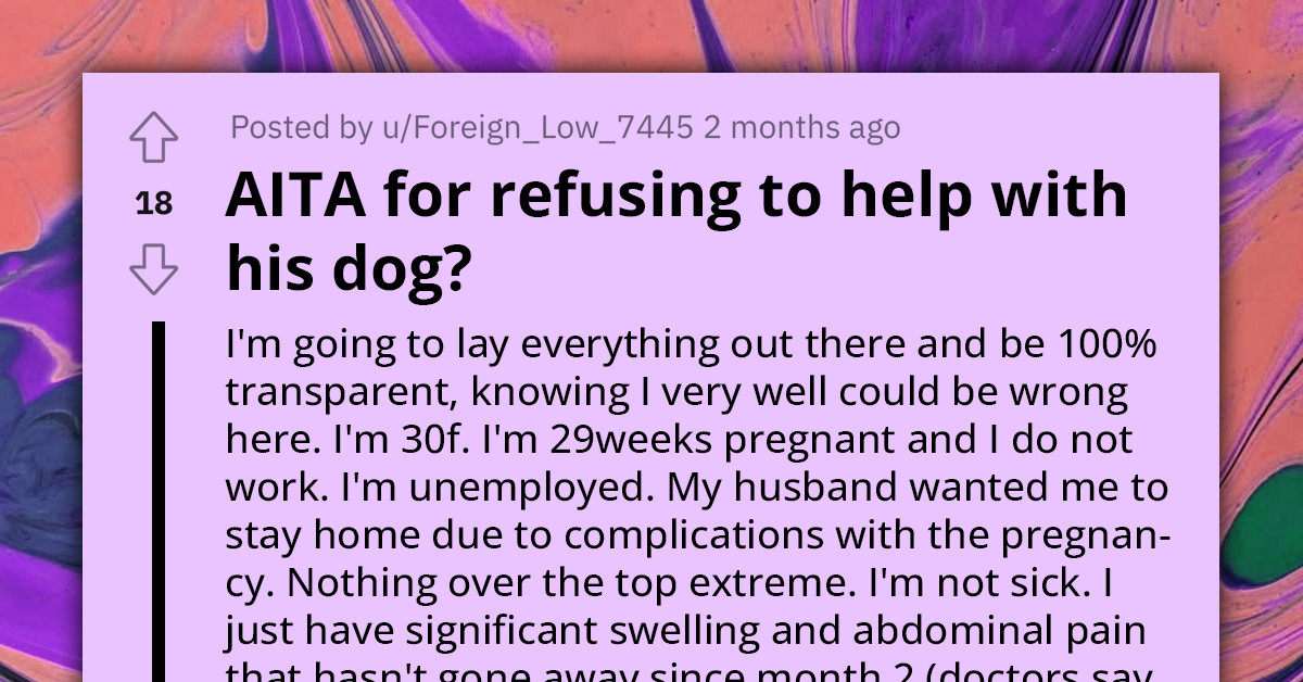 Husband Underestimates Pregnant Wife's Efforts With Kids, His Visiting Family, And Demanding Dog - She's Finally Had Enough