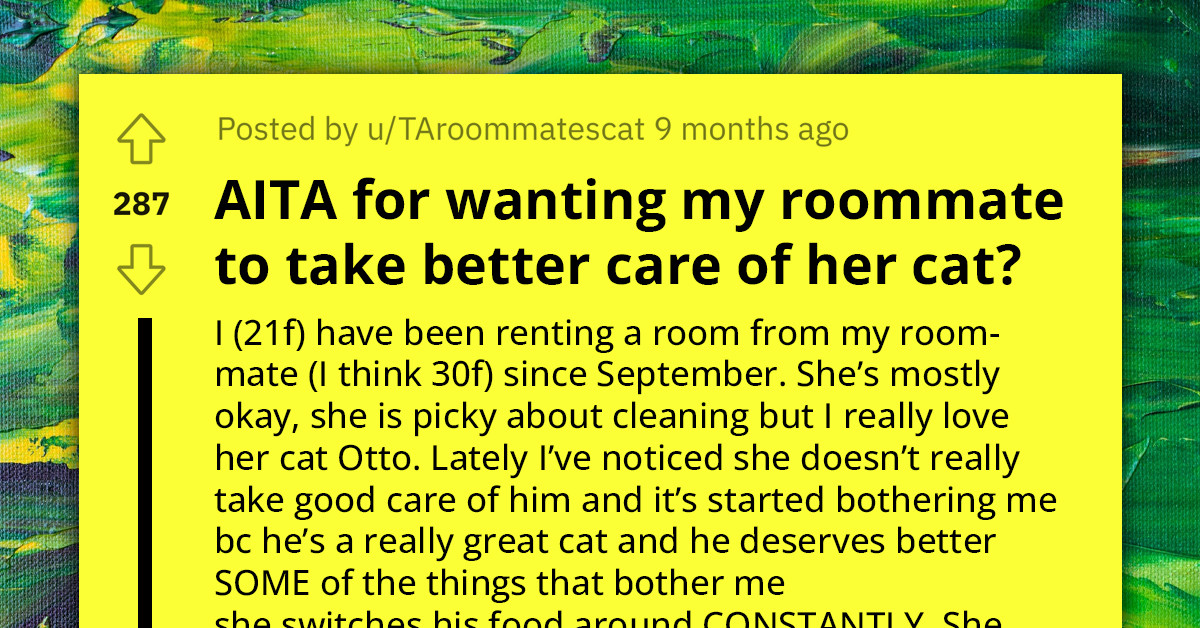 Redditor Threatens to Steal Roommate's Cat Due to Concerns of Neglect, Gets Thrown Out of Their Shared Apartment