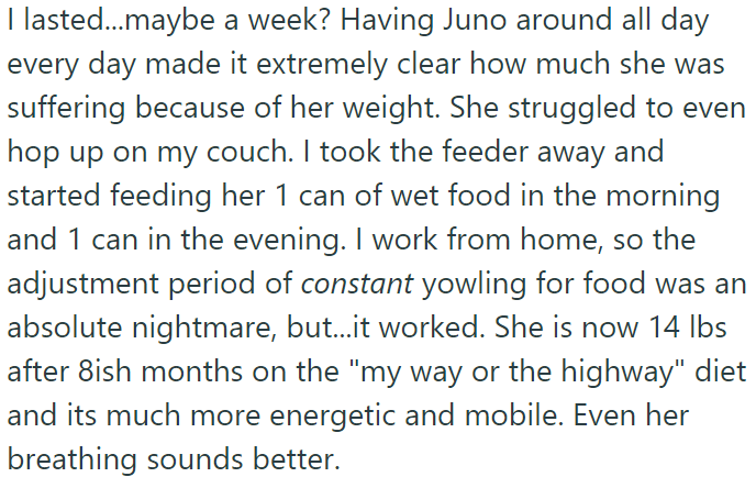 OP successfully implemented a diet plan for the cat, resulting in increased energy, mobility, and improved breathing within eight months, with the cat now weighing 14 lbs.