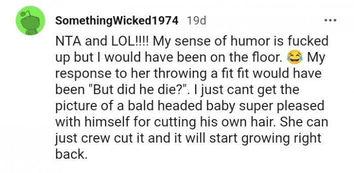 The Redditor would have been on the floor laughing so hard