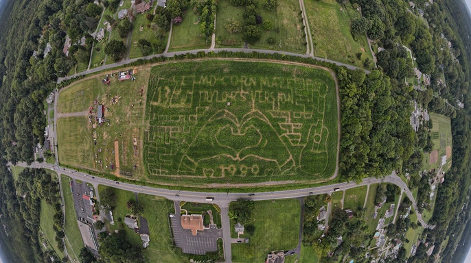 This is another Taylor Swift corn maze and this one is on the East Coast.