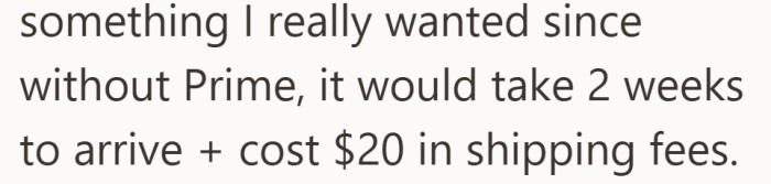 The whole reason for the favor was simple. Prime meant faster delivery and no extra shipping fees.