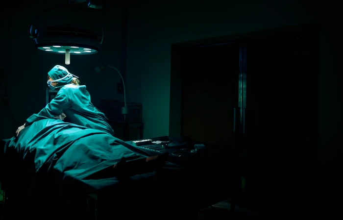 Researchers and ethics discussion signposts on post-mortem awareness and animal studies