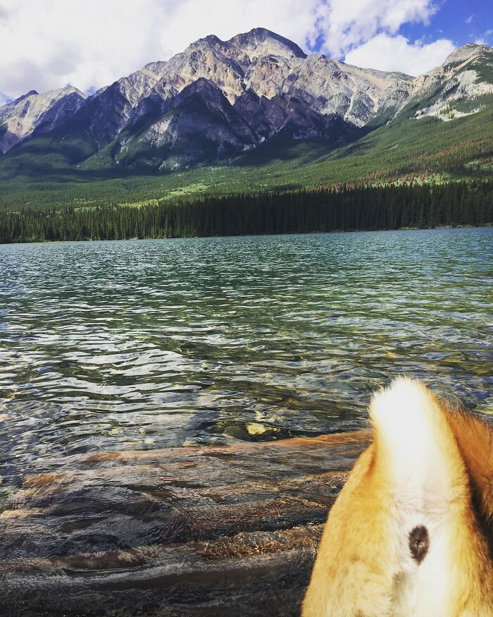 19. When you see it.