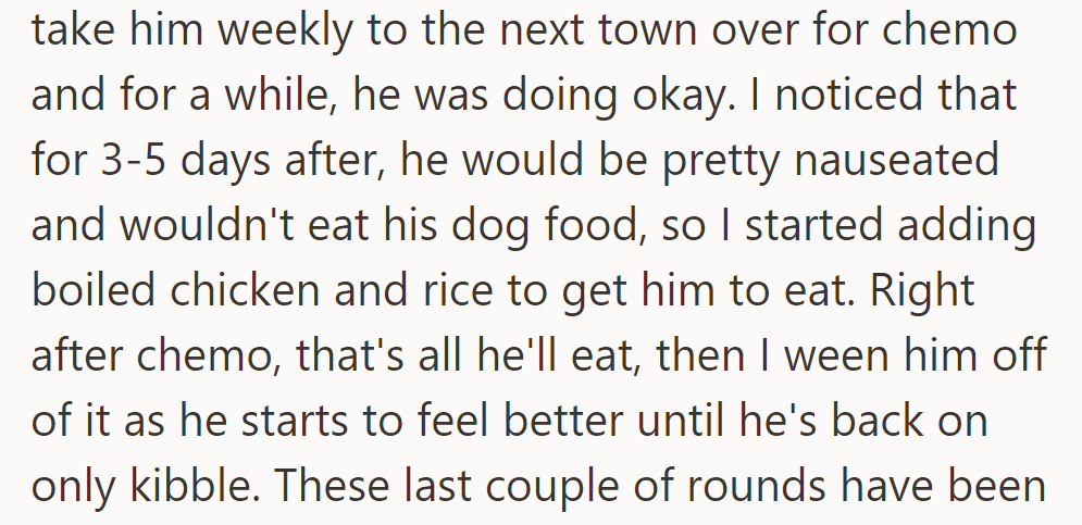 She takes Luis to a nearby town for weekly chemo, adding chicken and rice to his food post-treatment.
