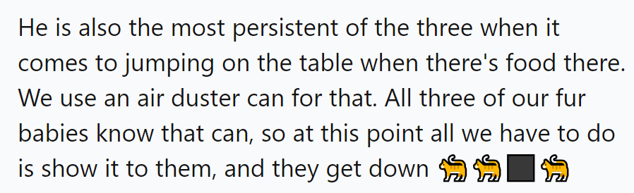 Their secret weapon against table jumpers: the mighty air duster. Just the sight of it sends their fur babies scurrying.