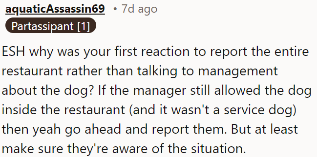 OP should have reported the dog issue to management first.