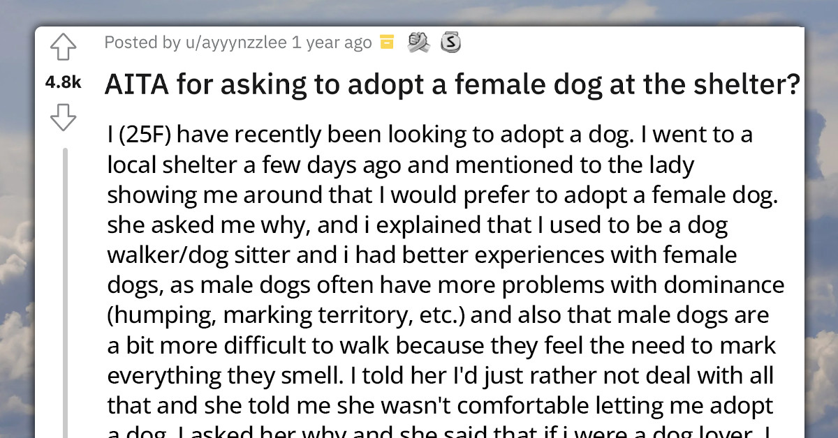 Woman Wants To Adopt A Female Dog, But The Shelter Worker Doesn't Allow Her For Strange Reasoning