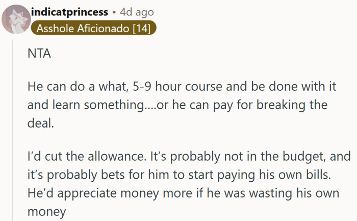 They see it as a chance for the teen to learn two lessons at once: responsibility and the real cost of convenience.