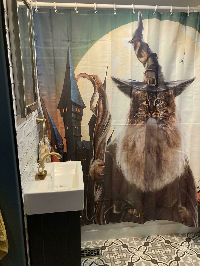 "I Think My New Shower Curtain Will Be Appreciated Here"