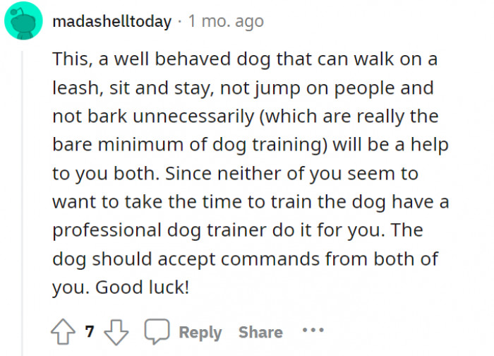Yeah, if you both don’t have the time… dog trainers definitely have lots!