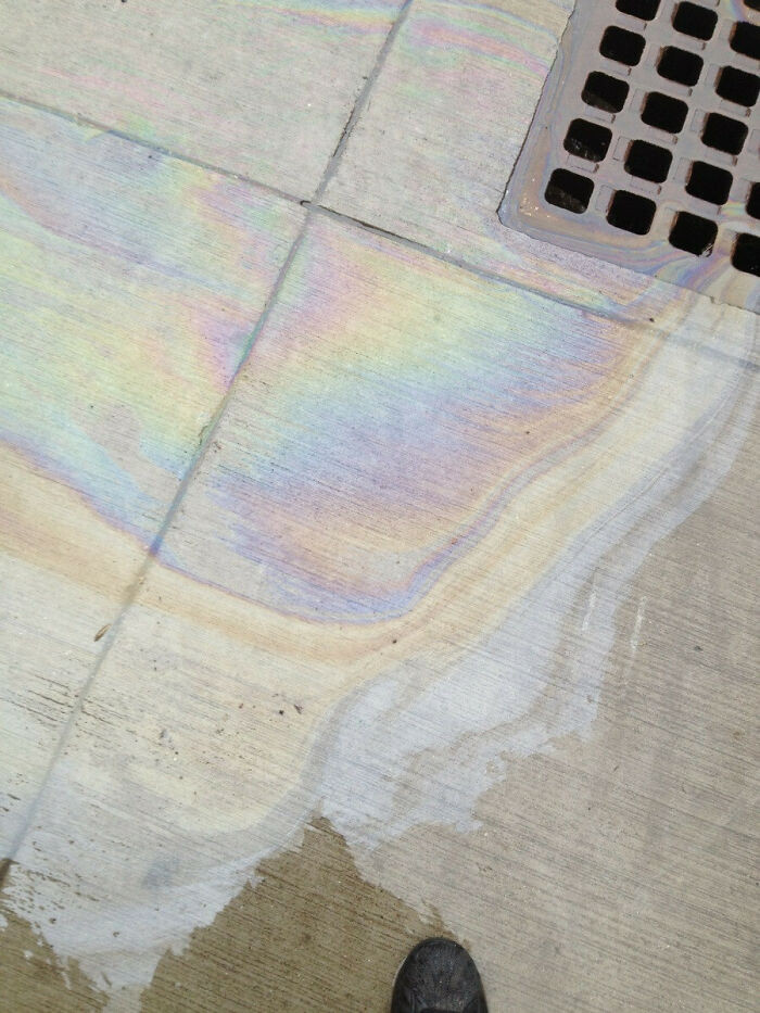 13. Magical rainbow in South Boston.