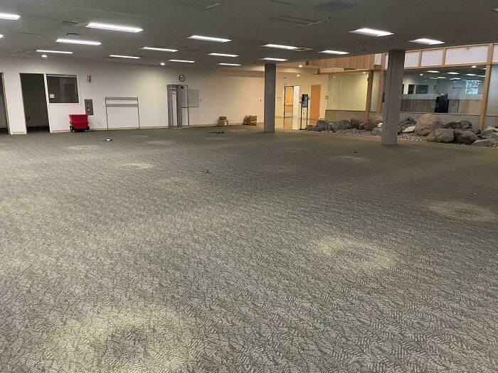 "Polka Dot Wear Pattern Under Removed Cubicles"