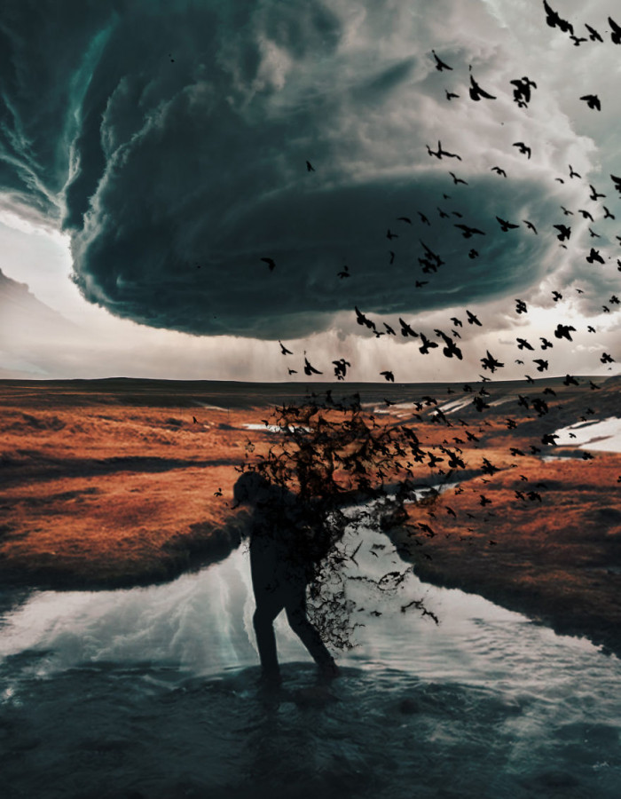 9. The highlight of the birds