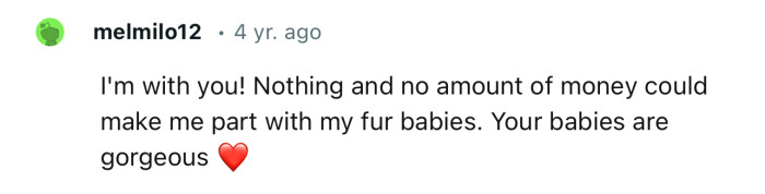 Nothing and no amount of money could make me part with my fur babies.