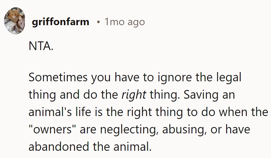 Ignoring the legal cat-tastrophe for the greater good! Saving lives, one whisker at a time.