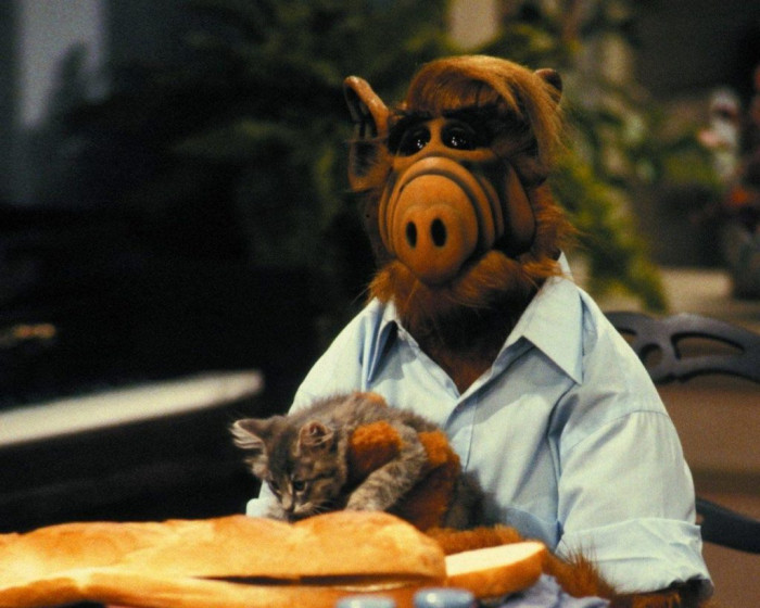 5. Alf