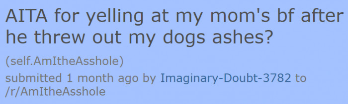 The dog owner wanted to be judged for shouting at her mom's boyfriend who threw her dog's ashes away.