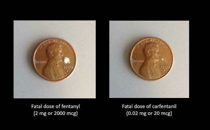 21. Someone Posted How Low The Fatal Dose Of Fentanyl Is. Here It Is Compared To The Fatal Dose Of Carfentanil