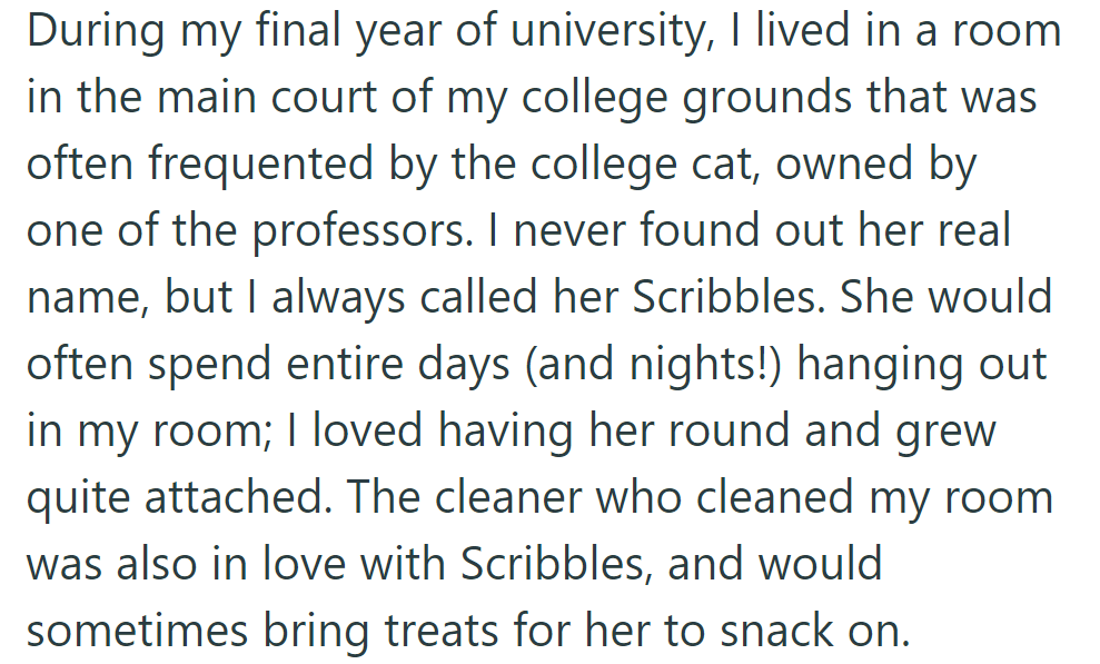 During university, OP befriended Scribbles, a professor's cat who frequented their room. Even the cleaner brought treats for her.