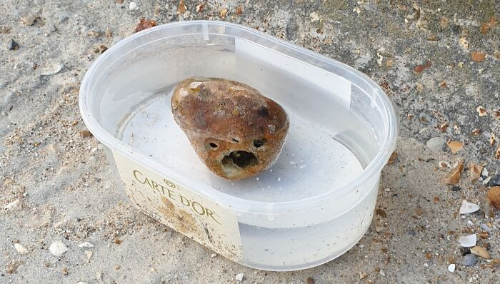 28. This alien rock decided to have a nice dip by the sea