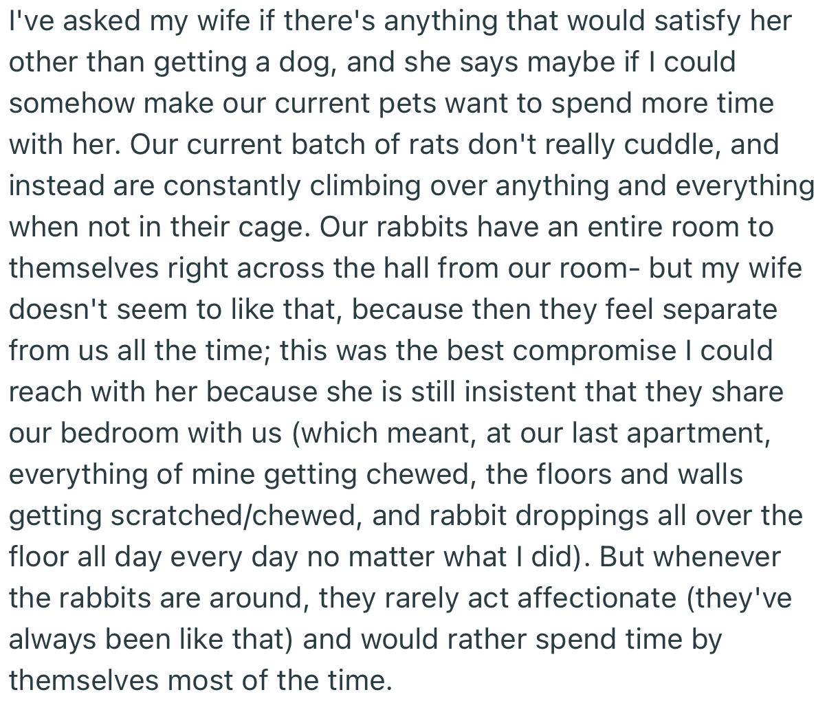From their conversation, OP found out that his wife has been adamant about a dog because their current pets aren’t as affectionate towards her