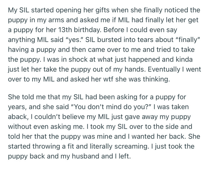 OP Refused to Let Her SIL Have Her Puppy, Which Caused a Fracas at the Birthday Party
