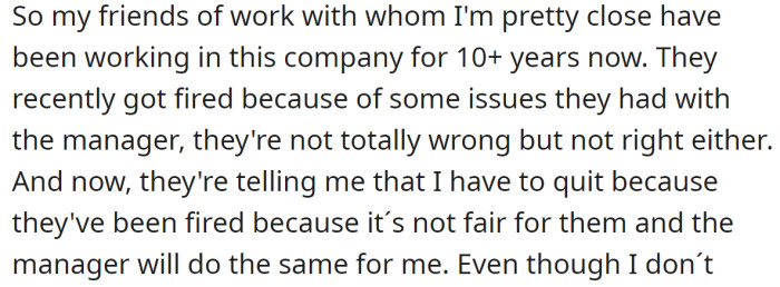 OP Explained Their Friends Got Fired and Expected Them to Quit Out of Solidarity:
