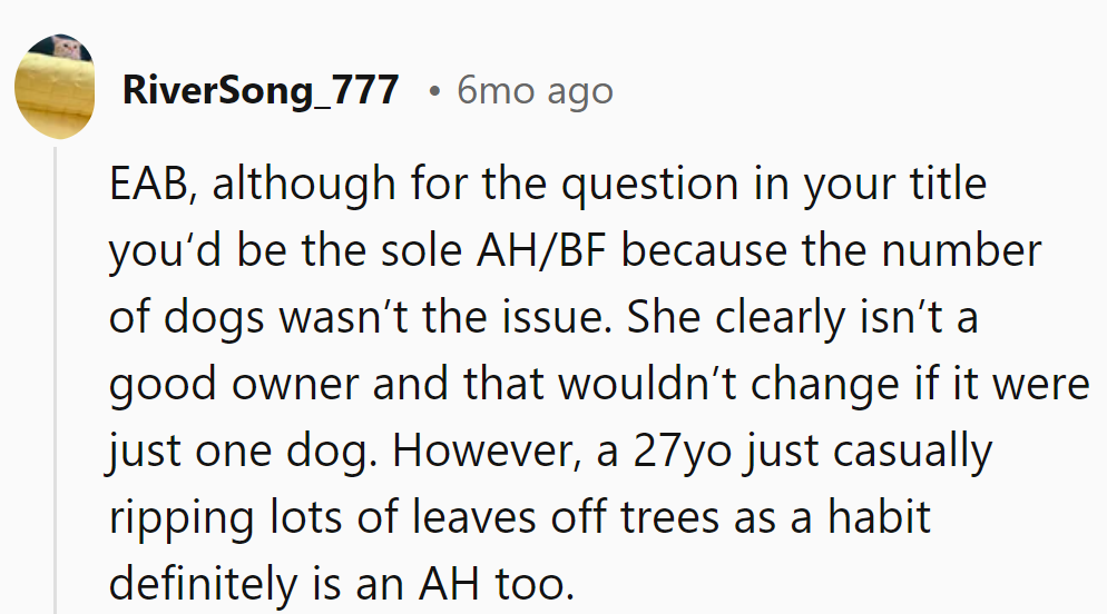 Everyone's a bit at fault here, but focusing on dog numbers misses the leash on manners!