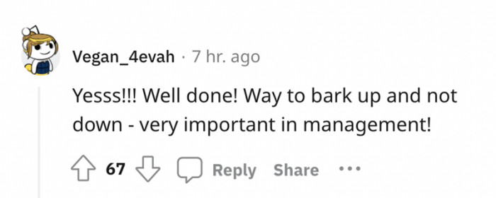 Management should be barking up.