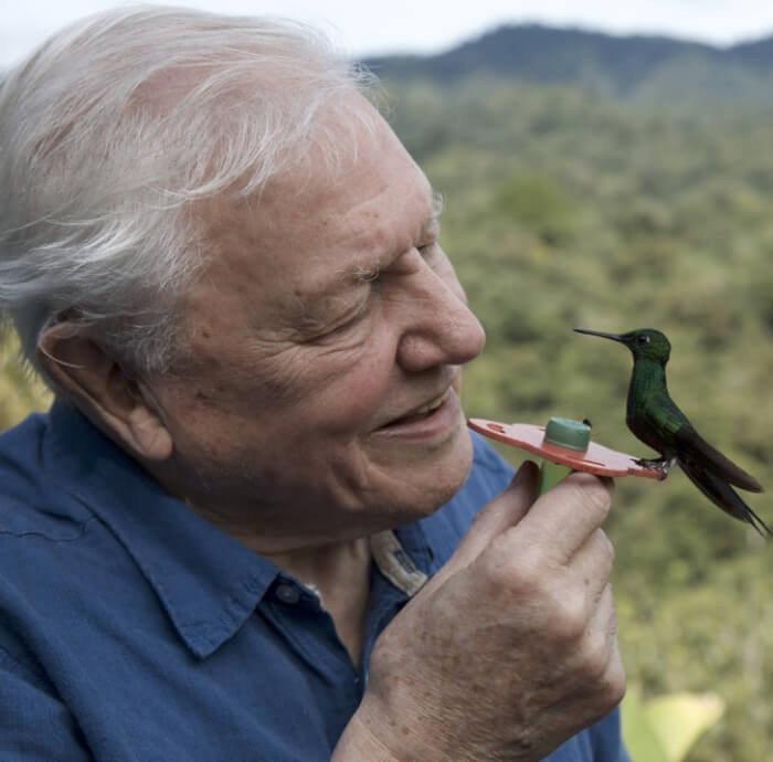 15. David Attenborough