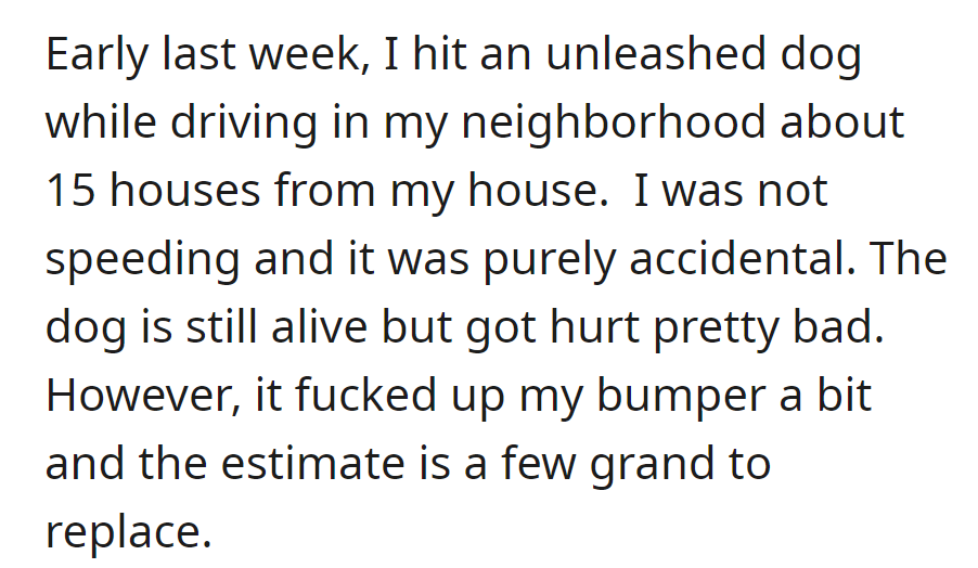 OP accidentally played bumper cars with a dog. The dog's okay; the bumper needs some replacement.