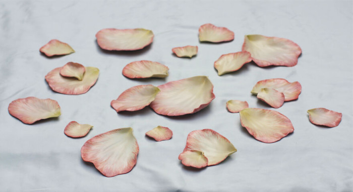 6. Rose petal plates