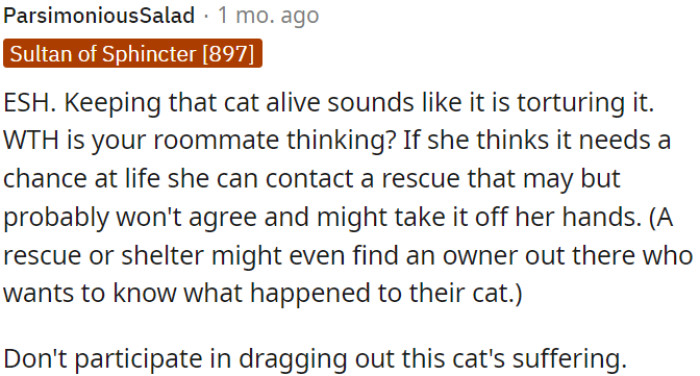 If OP's roommate believes the cat deserves life, she should contact a rescue or shelter for a solution