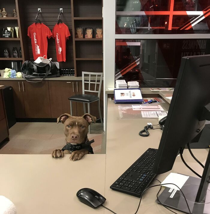 "New Worker At The Local Gym"