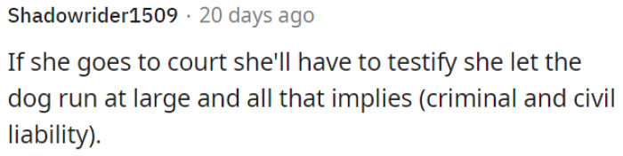 She May Have to Testify in Court About Letting the Unleashed Dog Roam, Which Could Lead to Legal Consequences.