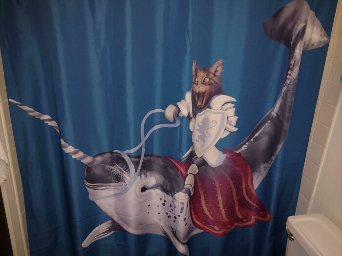 "My Wife Barred Me From Drunken eBay Purchases After I Bought A Shower Curtain"
