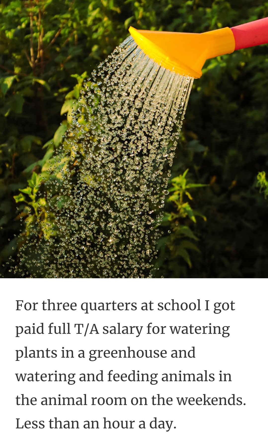 6. Watering greenhouse plants