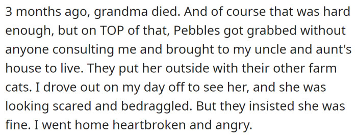 But her grandma died, and her relatives took Pebbles without asking her: