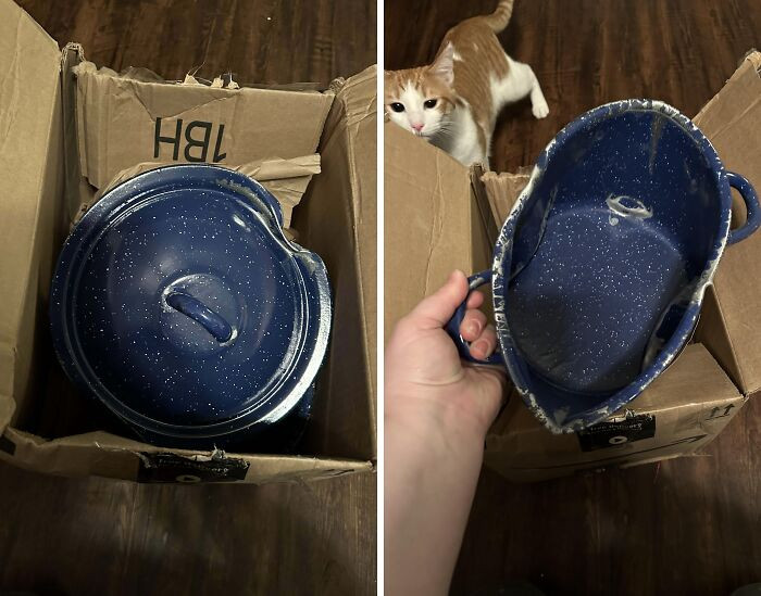 "Merry Christmas, Here’s Your Gift"