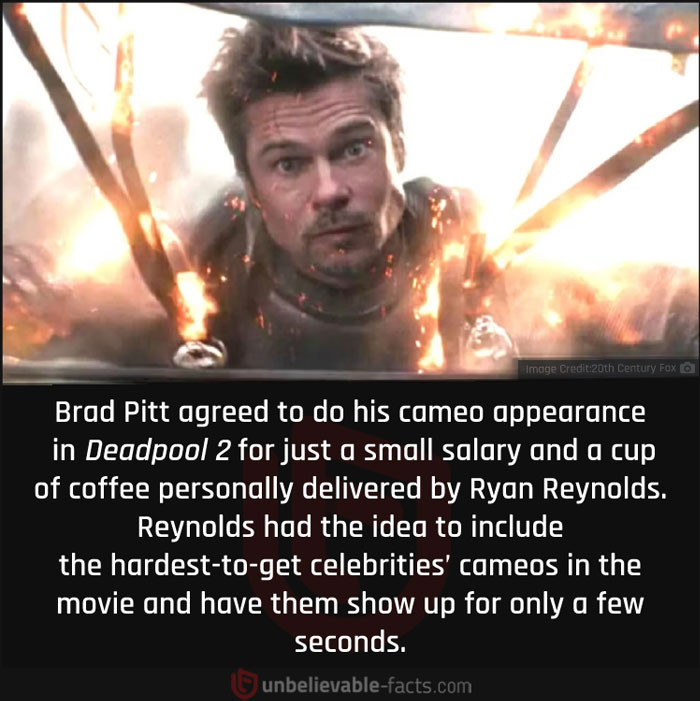 39. A Cameo Appearance