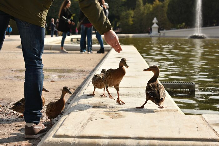 Well, that's not exactly how I thought that was going to go.