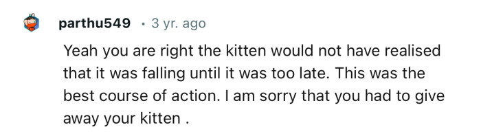 “This was the best course of action. I am sorry that you had to give away your kitten.”