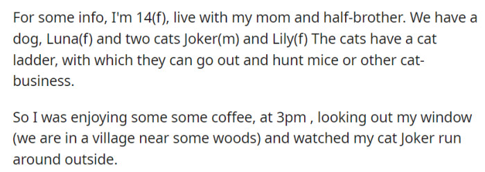 OP, a 14-year-old girl in a woodland village, enjoyed coffee while watching her cat Joker play outdoors with her family and pets.