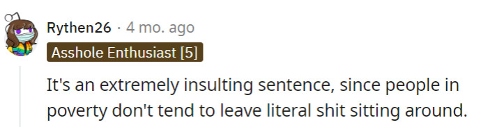 Indeed, a messy house isn't a poverty privilege card. Poverty doesn't equate to poop decor, and cleanliness is a universal virtue.