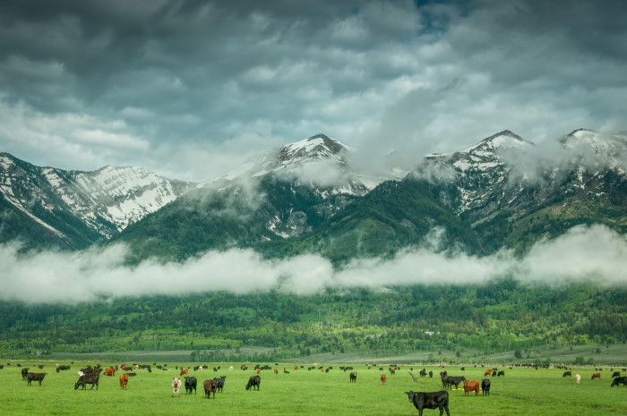 Large ranch property at Pathfinder Ranches, highlighting acreage and land consolidation.
